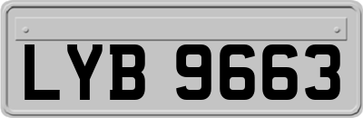 LYB9663
