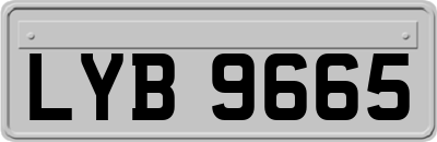 LYB9665