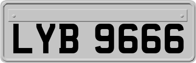 LYB9666
