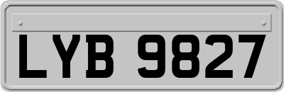 LYB9827