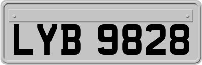LYB9828
