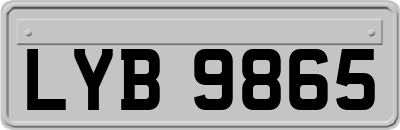 LYB9865