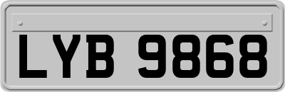 LYB9868
