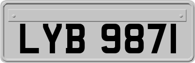 LYB9871