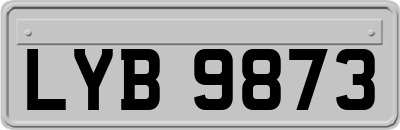 LYB9873