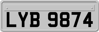 LYB9874