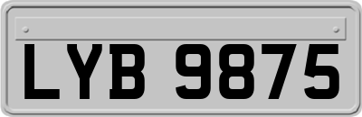 LYB9875