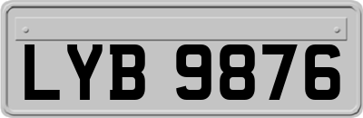 LYB9876