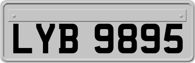 LYB9895