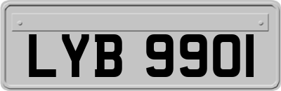 LYB9901