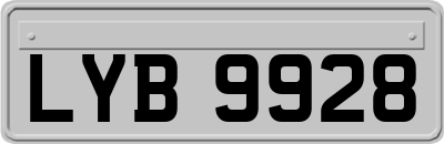LYB9928