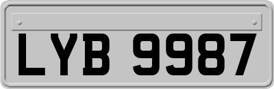 LYB9987