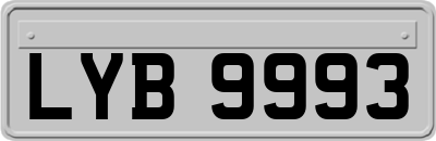 LYB9993