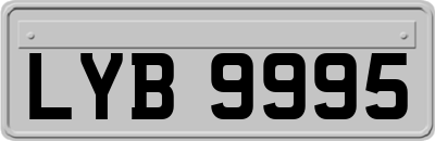 LYB9995