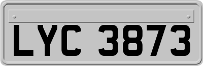 LYC3873