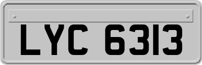 LYC6313