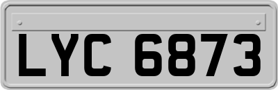 LYC6873