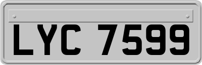 LYC7599