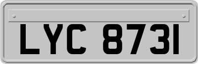 LYC8731