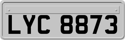 LYC8873