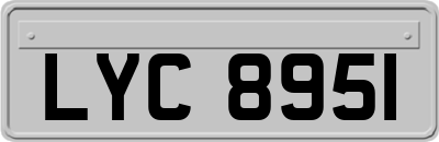 LYC8951