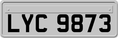 LYC9873