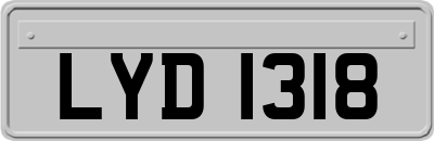 LYD1318