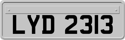 LYD2313