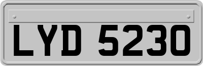 LYD5230