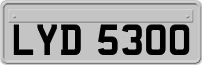 LYD5300