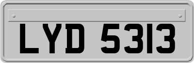 LYD5313