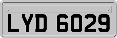 LYD6029
