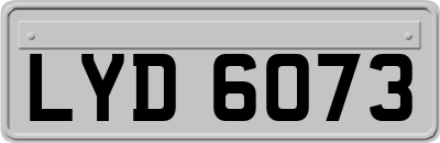 LYD6073