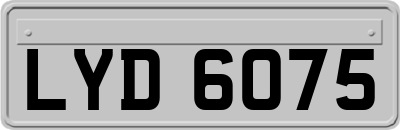 LYD6075