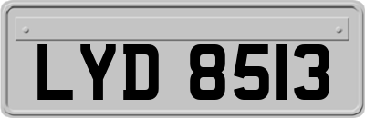 LYD8513