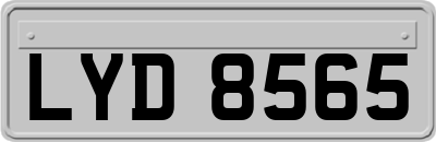 LYD8565