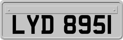 LYD8951