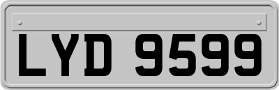 LYD9599