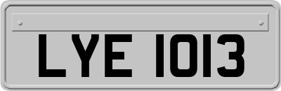 LYE1013