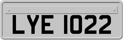 LYE1022