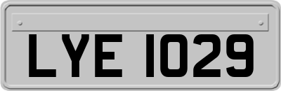 LYE1029