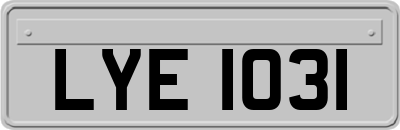 LYE1031
