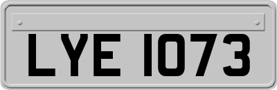 LYE1073