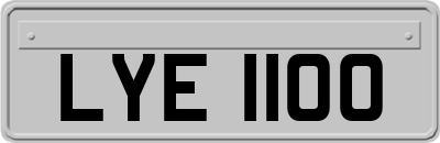 LYE1100