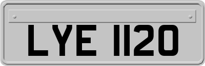 LYE1120