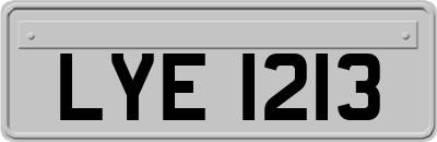 LYE1213
