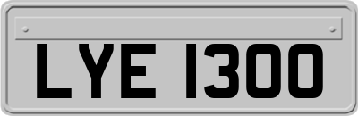 LYE1300