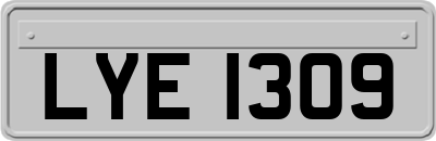 LYE1309