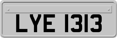 LYE1313