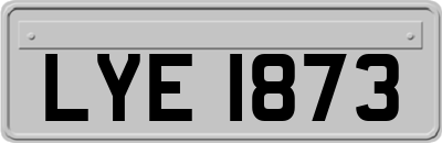 LYE1873